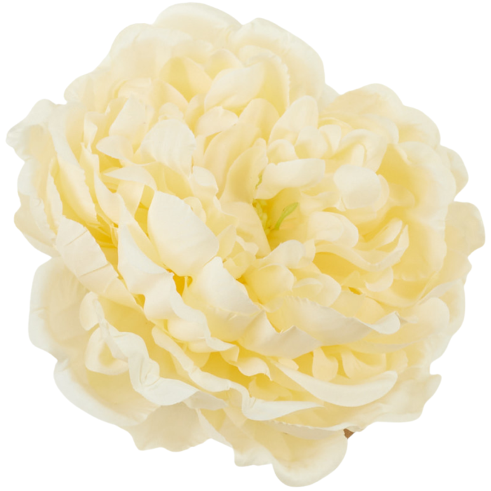 [68b3502] Główka kwiatowa peonia 15cm kremowa