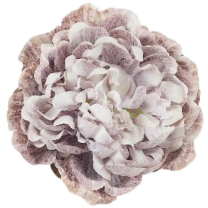[68b3513] Główka kwiatowa peonia 15cm biało- fioletowa