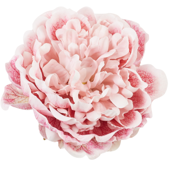 [68b3517] Główka kwiatowa peonia 15cm jasnoróżowa