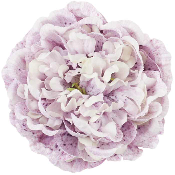 [68b3520] Główka kwiatowa peonia 15cm biało- różowa