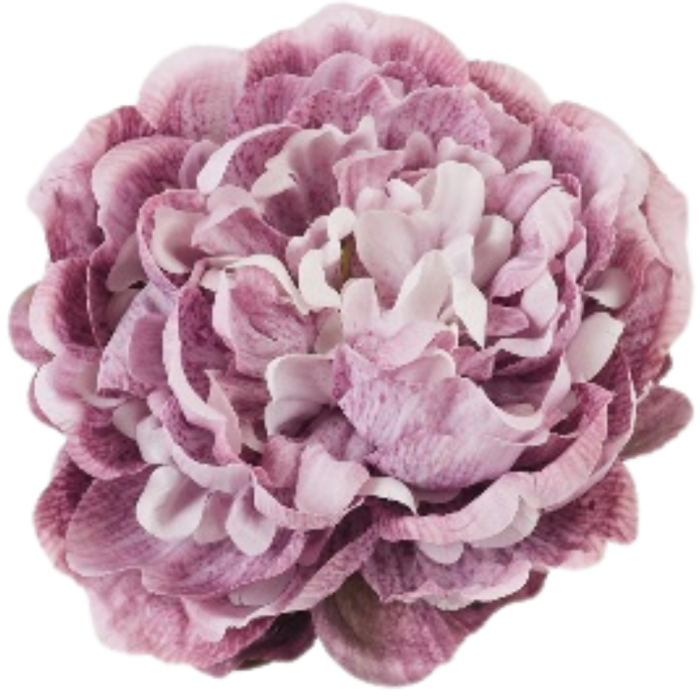 [68b3530] Główka kwiatowa peonia 15cm różowa cieniowana