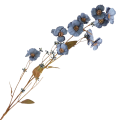 [68a10207] Gałązka kwiatowa jesienna anemon 100cm niebieski