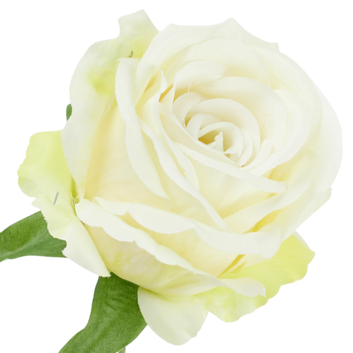 [68b5103] Róża główka wyrobowa 9cm kremowa