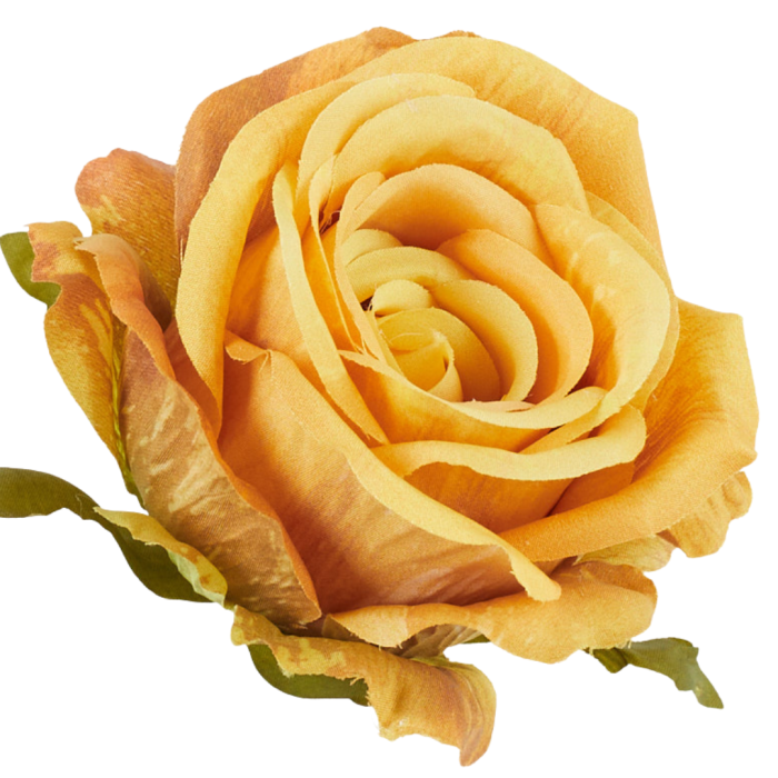 [68b5136] Róża główka wyrobowa 9cm miodowa