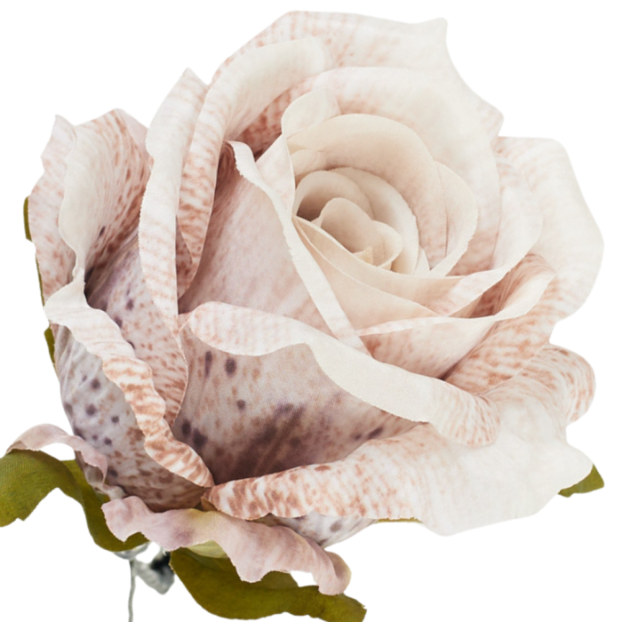 [68b51100] Róża główka wyrobowa 9cm beżowa cieniowana