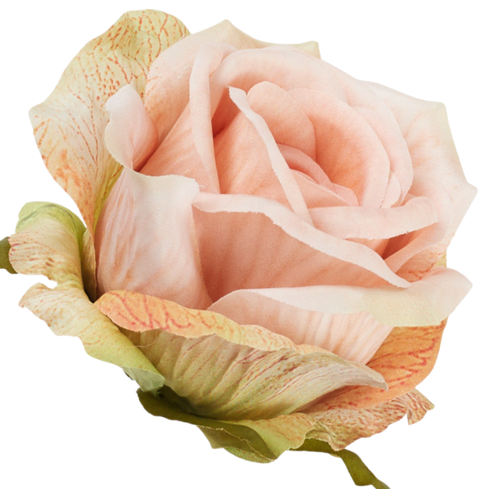 [68b51101] Róża główka wyrobowa 9cm brzoskwiniowa