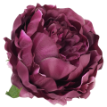 [w03027] Główka kwiatowa peonia duża 12cm biskupia
