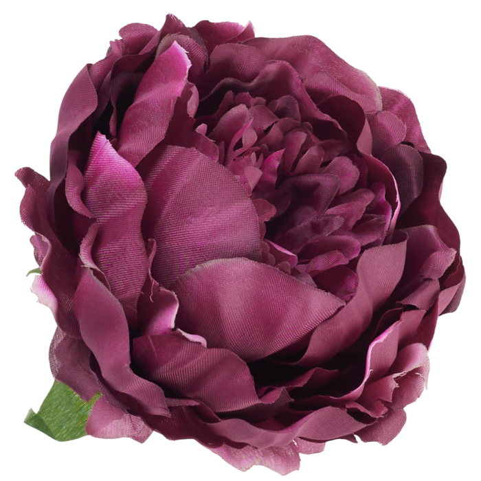 [w03027] Główka kwiatowa peonia duża 12cm biskupia