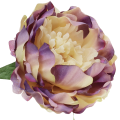 [w03032] Główka kwiatowa peonia duża 12cm przydymiony fiolet z kremem