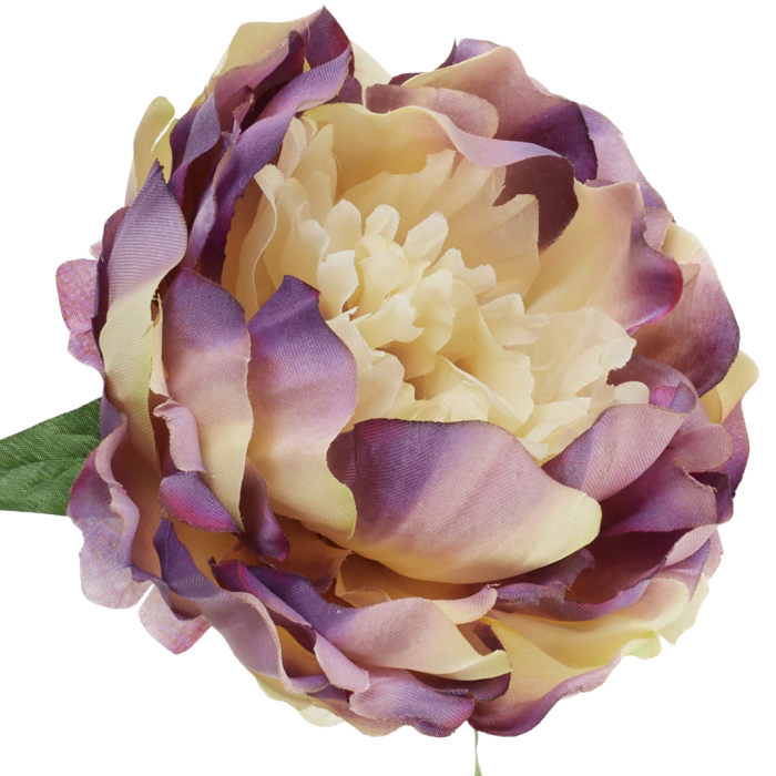 [w03032] Główka kwiatowa peonia duża 12cm przydymiony fiolet z kremem