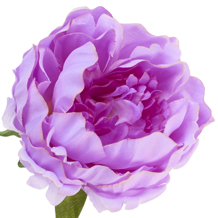 [w03031] Główka kwiatowa peonia duża 12cm lawendowa