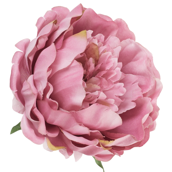 [wb1133] Główka kwiatowa peonia duża 12cm przydymiony róż