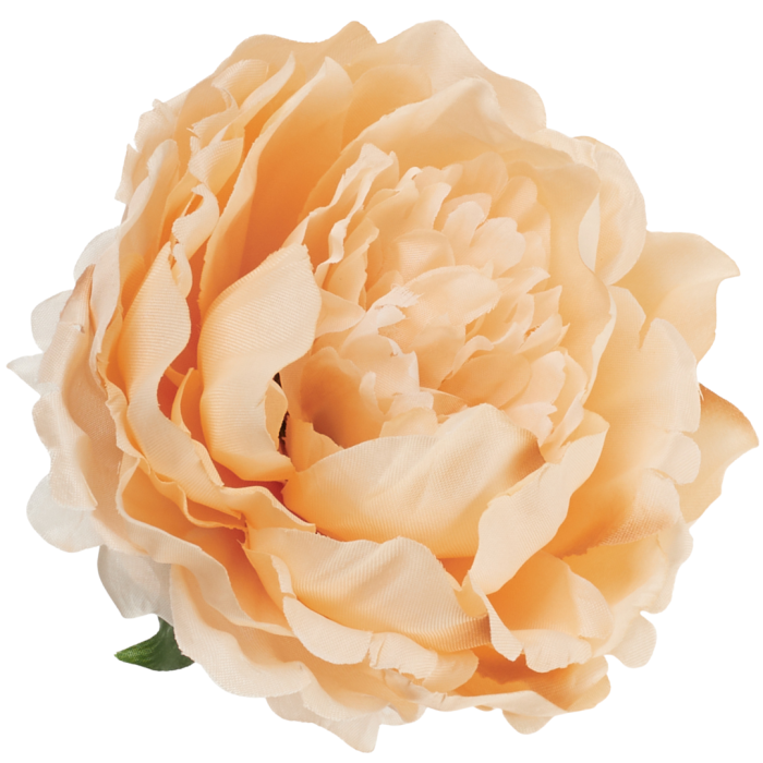 [wb1159] Główka kwiatowa peonia duża 12cm beżowa