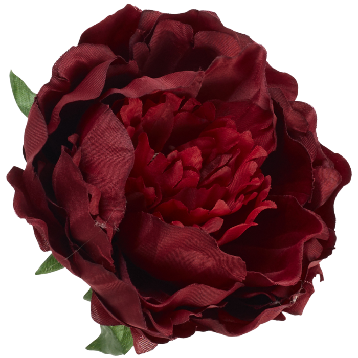 [wb1163] Główka kwiatowa peonia duża 12cm bordowa