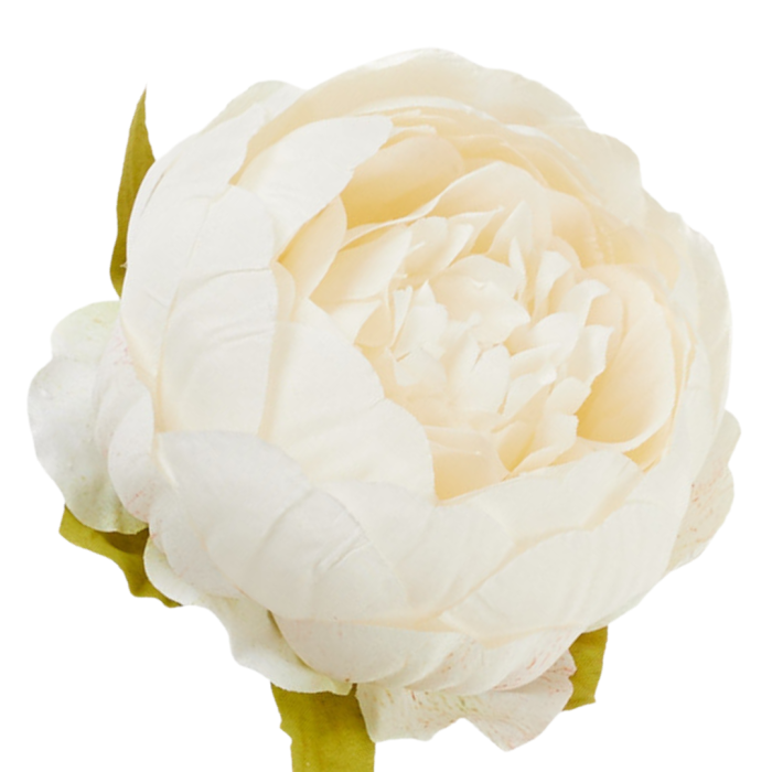 [wb3901] Główka kwiatowa peonia 9cm kremowa