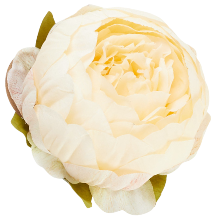 [wb3902] Główka kwiatowa peonia 9cm beżowa