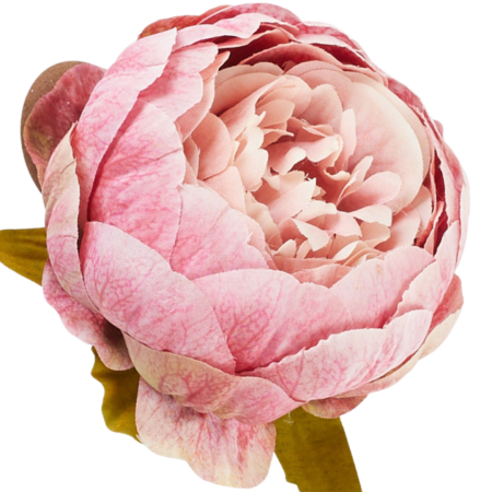 [wb3945] Główka kwiatowa peonia 9cm różowo-kremowa