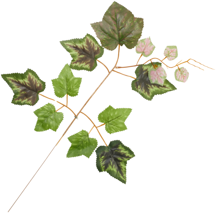 [68s74101] Gałązka liści winogronu zielona cieniowana 60cm