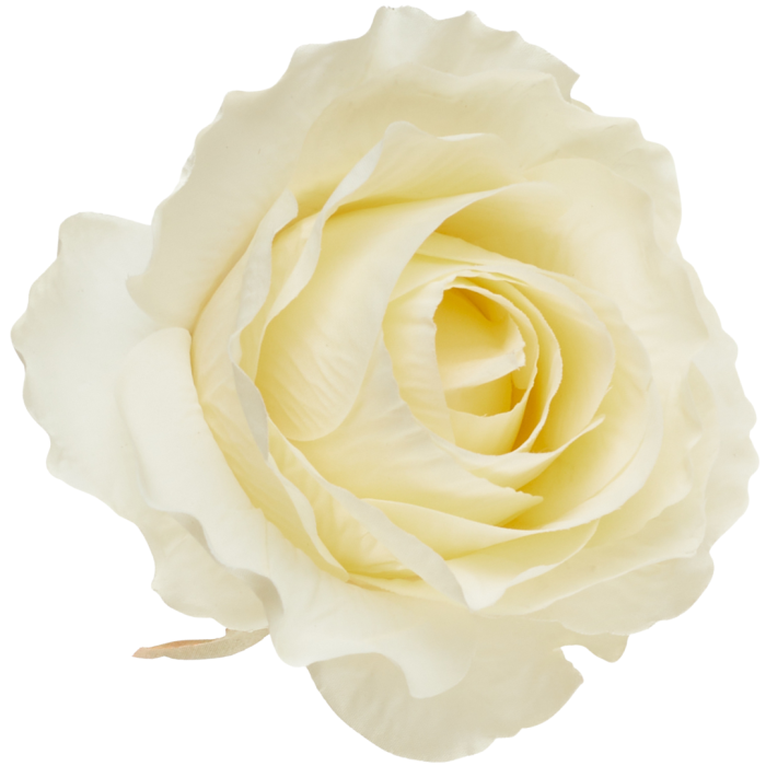 [68b72002] Róża główka wyrobowa 10cm kremowa