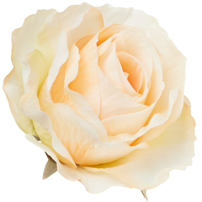 [68b72003] Róża główka wyrobowa 10cm brzoskwiniowa