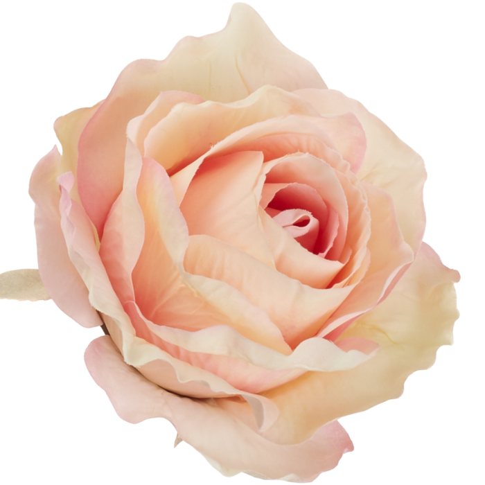 [68b72004] Róża główka wyrobowa 10cm kremowo- różowa