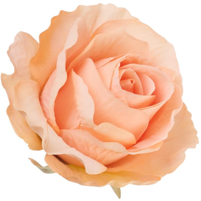 [68b72005] Róża główka wyrobowa 10cm łososiowa