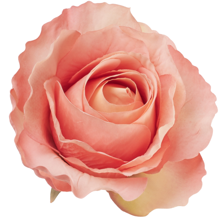 [68b72006] Róża główka wyrobowa 10cm koralowa