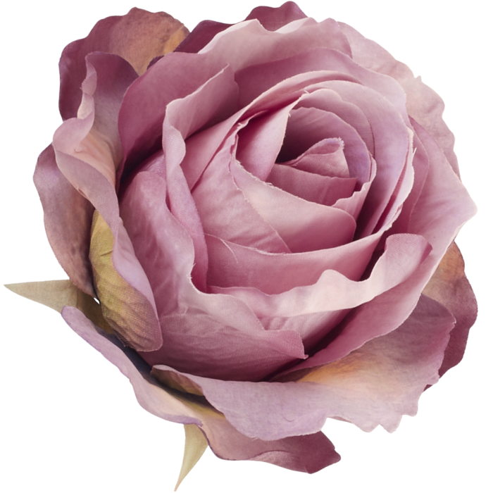 [68b72009] Róża główka wyrobowa 10cm wrzosowa