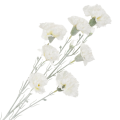 [68b7301] Gałązka kwiatowa goździk satynowy 72cm biały