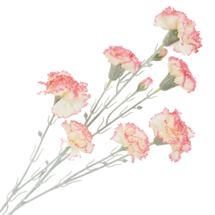 [68b7304] Gałązka kwiatowa goździk satynowy 72cm kremowo- różowy