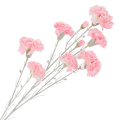 [68b7305] Gałązka kwiatowa goździk satynowy 72cm jasnoróżowy