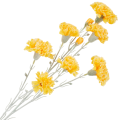 [68b7307] Gałązka kwiatowa goździk satynowy 72cm żółty
