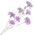 [68b7311] Gałązka kwiatowa goździk satynowy 72cm fioletowa