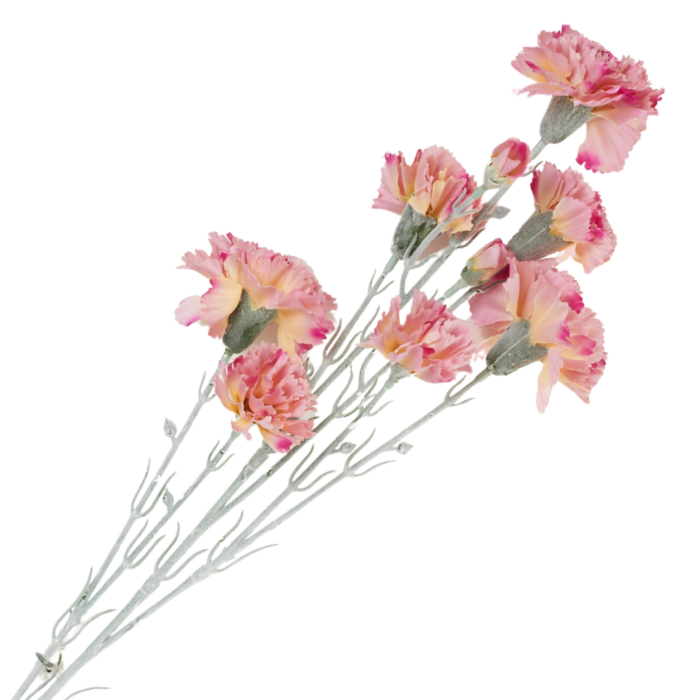 [68b7315] Gałązka kwiatowa goździk satynowy 72cm różowa cieniowana