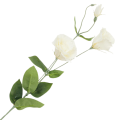 [68g2901] Gałązka kwiatowa eustoma biała 82cm