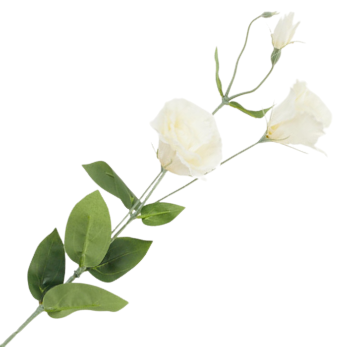 [68g2901] Gałązka kwiatowa eustoma biała 82cm