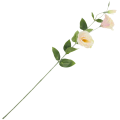 [68g2903] Gałązka kwiatowa eustoma kremowo- jasnoróżowa 82cm