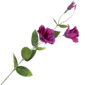 [68g2909] Gałązka kwiatowa eustoma fuksjowo- fioletowa 82cm