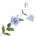 [68g2910] Gałązka kwiatowa eustoma błękitna 82cm