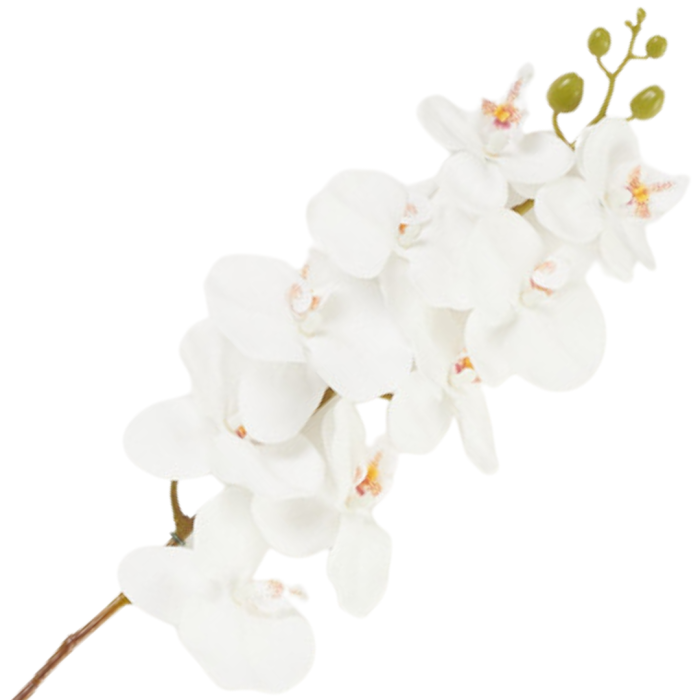 [68tp0101] Gałązka storczyka 9 kwiatów biała 95cm