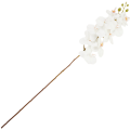 [68tp0101] Gałązka storczyka 9 kwiatów biała 95cm