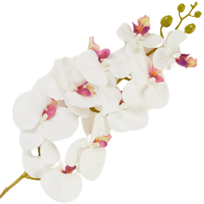 [68tp0102] Gałązka storczyka 9 kwiatów biała z różowym środkiem 95cm