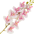 [68tp0103] Gałązka storczyka 9 kwiatów kremowo- różowa 95cm