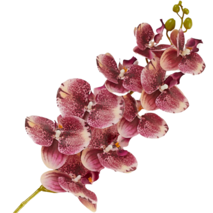 [68tp0108] Gałązka storczyka 9 kwiatów purpurowa cieniowana 95cm