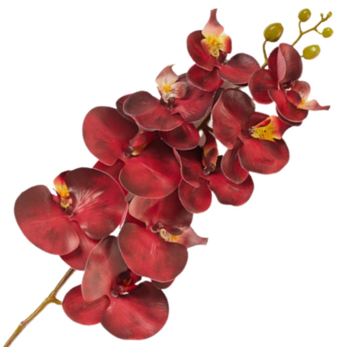 [68tp0111] Gałązka storczyka 9 kwiatów czerwona 95cm