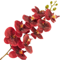 [68tp0112] Gałązka storczyka 9 kwiatów czerwono- czarna 95cm