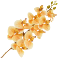 [68tp0121] Gałązka storczyka  9 kwiatów pomarańczowa cieniowana 95cm
