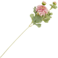 [68tg0606] Gałązka kwiatowa dalia różowa 63cm