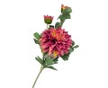 [68tg0608] Gałązka kwiatowa dalia czerwona 63cm