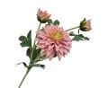 [68tg0607] Gałązka kwiatowa dalia jasnoróżowa 62cm